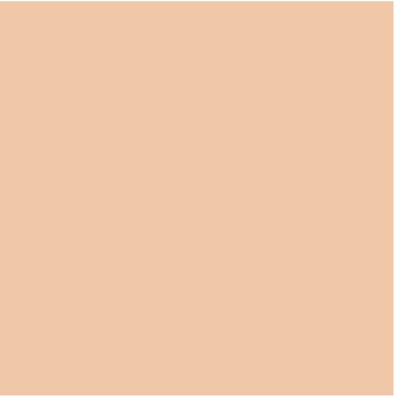 Glo skin Beauty Spot Treat Concealer Light