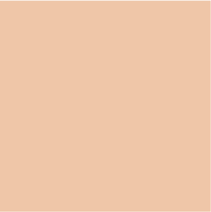 Glo skin Beauty Spot Treat Concealer Light
