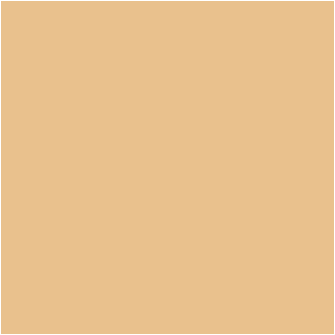 Glo skin Beauty Spot Treat Concealer Light-Medium