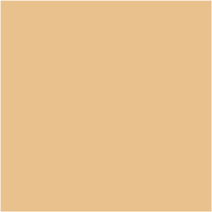 Glo skin Beauty Spot Treat Concealer Light-Medium