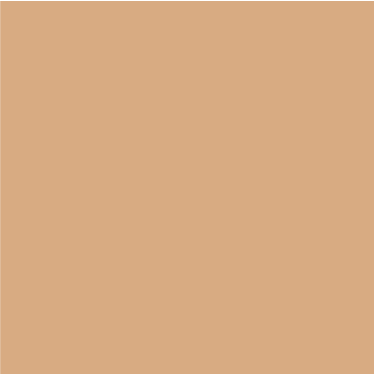 Glo skin Beauty Spot Treat Concealer Medium